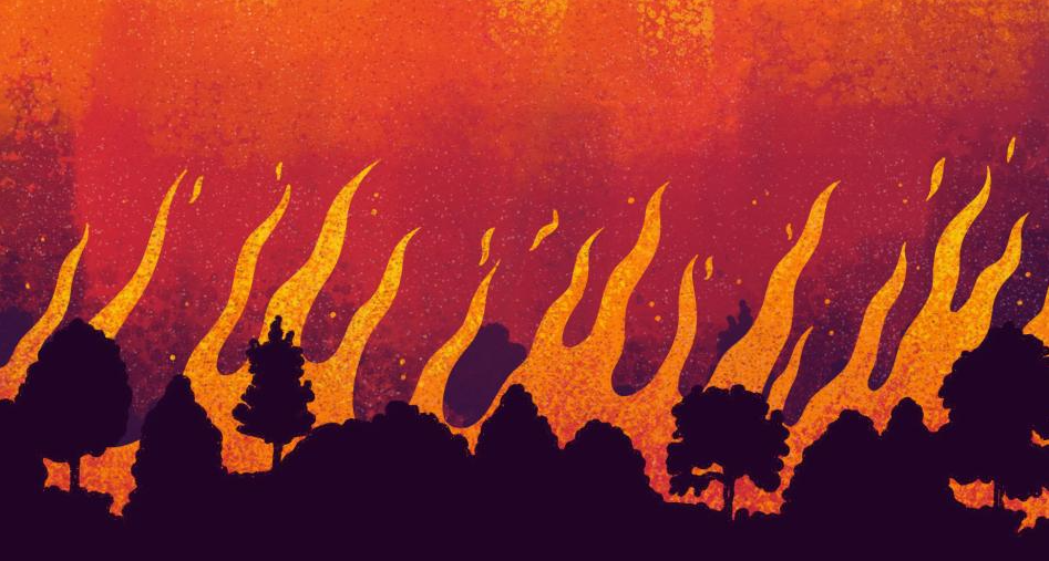 Patrón de fragmentación del bosque en la Reserva El Choré